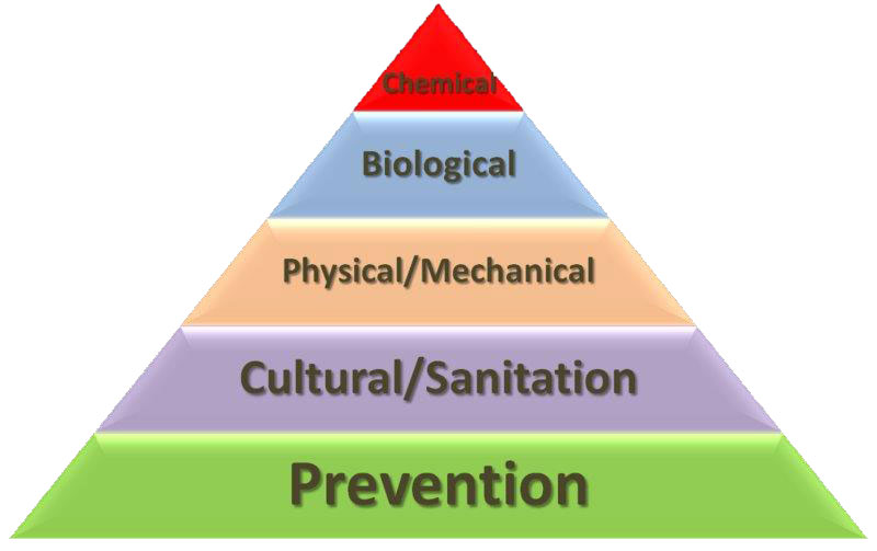 photoabsorption photoionization and