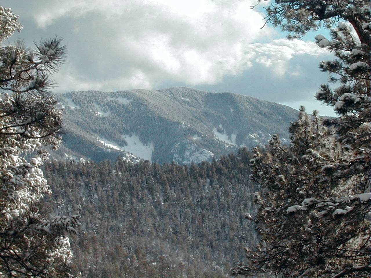 Photo of Upper Municipal Watershed Snow