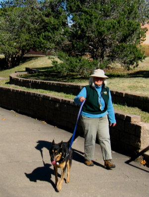 Photo of dog walker in Marc Brandt Park
